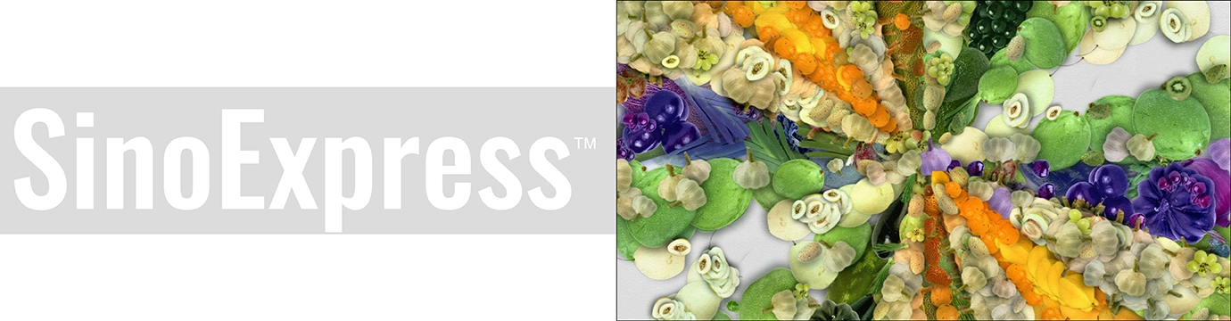 DeepSeek, AI Agriculture, and China’s Zhejiang Province